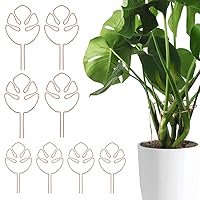 モンステラ 鉄スタンド　黒 61ukn+eb6lL._SS200_.jpg